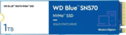Western Digital 1TB Blue M.2 2280 SN570 WDS100T3B0C