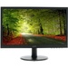 Acer 18.5" EB192QBbi черный TN+film LED 5ms 16:9 HDMI матовая 200cd 90гр/65гр 1366x768 60Hz VGA HD 2.1кг (UM.XE2EE.B01)