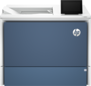 HP Color LaserJet Enterprise 6700dn (6QN33A)