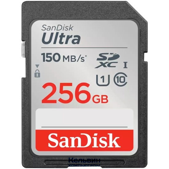 SANDISK SDXC 256GB UHS-I SDSDUNC-256G-GN6IN