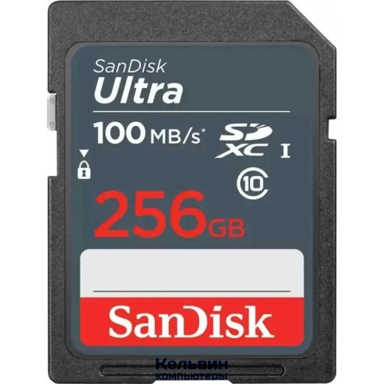 SanDisk Ultra 256GB SDXC Card 100MB/s (SDSDUNR-256G-GN3IN)