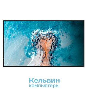 Hisense 75" 75DM66D черный LED 8ms 16:9 HDMI M/M матовая 1200:1 500cd 178гр/178гр 3840x2160 DP 4K USB 29кг