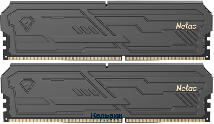 DIMM DDR5 2x16Gb Netac Shadow III C32 6400Mhz (NTSHD5P64DP-32K)
