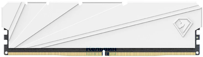 DIMM DDR4 8Gb Netac Shadow S White 3200MHz, CL16, с радиатором, белый (NTSSD4P32SP-08W)
