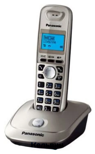 Panasonic KX-TG2511RUN (платиновый)