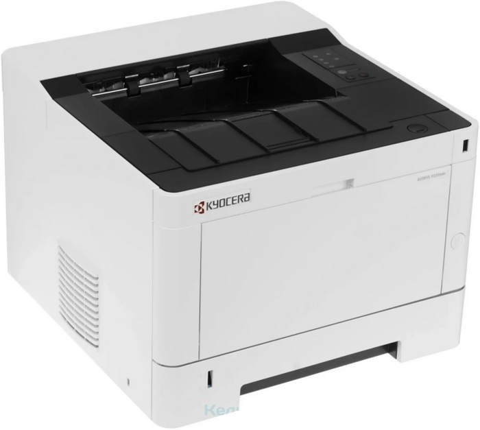 Kyocera ECOSYS P2235dn Азия (1102RV3AX0)