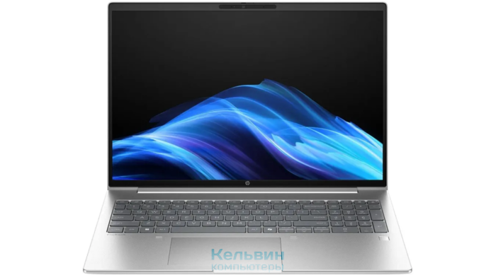 HP ProBook 4 G1a Ryzen 5 230 16Gb SSD256Gb AMD Radeon 16" FHD (1920x1200) Windows 11 Pro silver WiFi BT Cam (BM2S8UT)