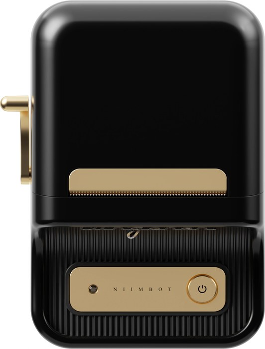 Niimbot B21S (1746727) 203dpi 60мм/с/USB/BT для печ.этик. черный термопринтер